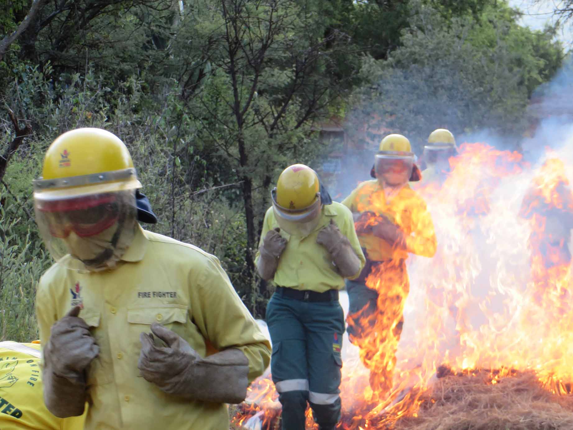 Working on fire team busy this season heidelberg nigel heraut
